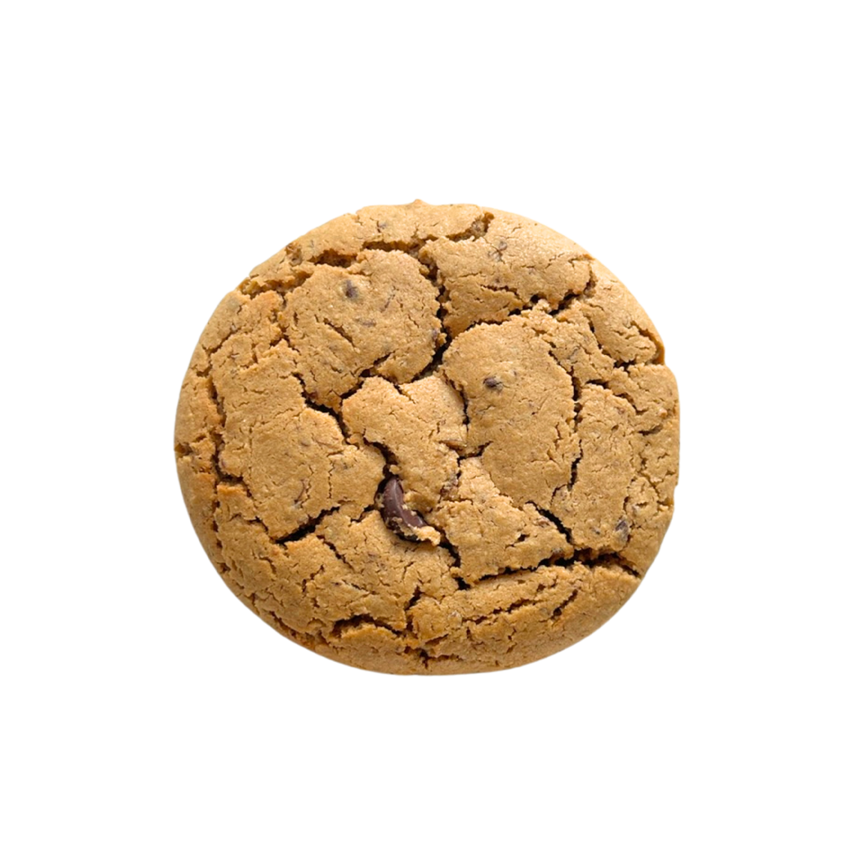 Top-down view of a round, golden-brown cookie with a cracked surface and a chocolate chip showing near the center.